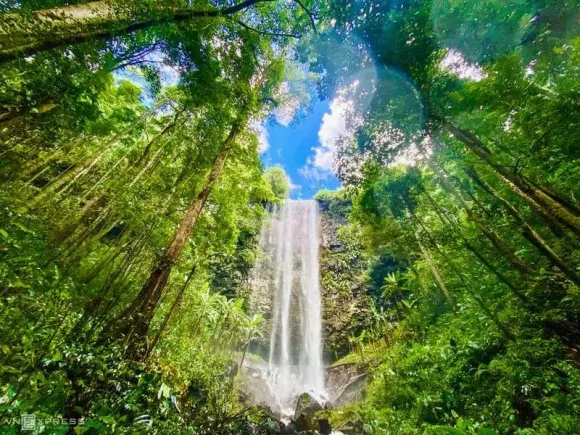 Thiên Long Travel – Đơn Vị Tổ Chức Tour Chuyên Nghiệp Tại Nhơn Trạch