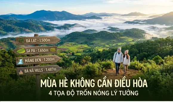 Review Tour Thiên Long Travel: Cảm Nhận Thực Tế & Đáng Giá Vượt Mong Đợi