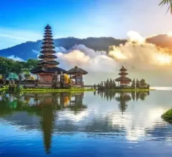 Tin tức