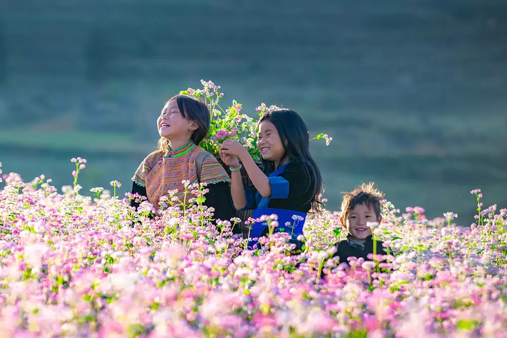 THIÊN LONG TRAVEL<br>CUNG CẤP TOUR DU LỊCH