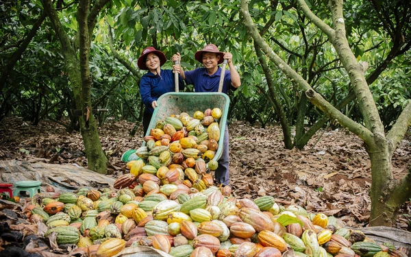 Du lịch SKD